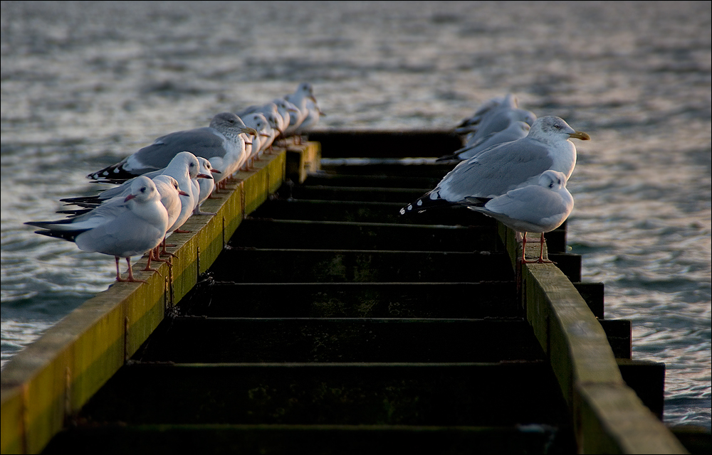 Licht aus - Spot an!