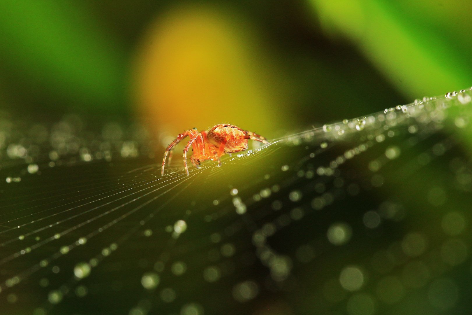 Licht auuus ... ich glaub ich spinne