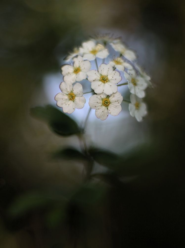 Licht von einbyte 