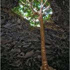 "Licht bedeutet Leben", Ana Te Kohe, Rapa Nui