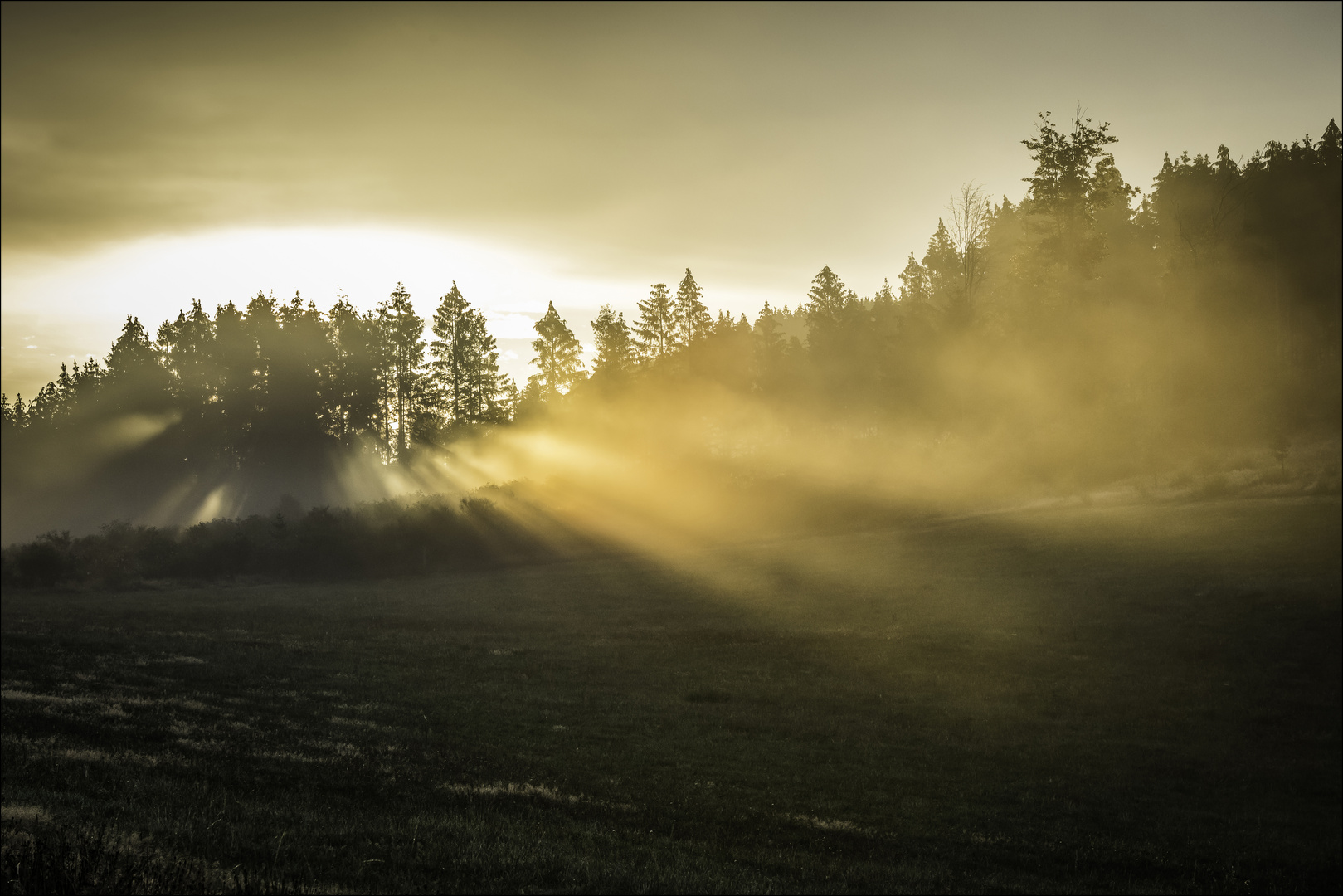 Licht bricht sich Bahn