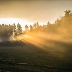 Licht bricht sich Bahn