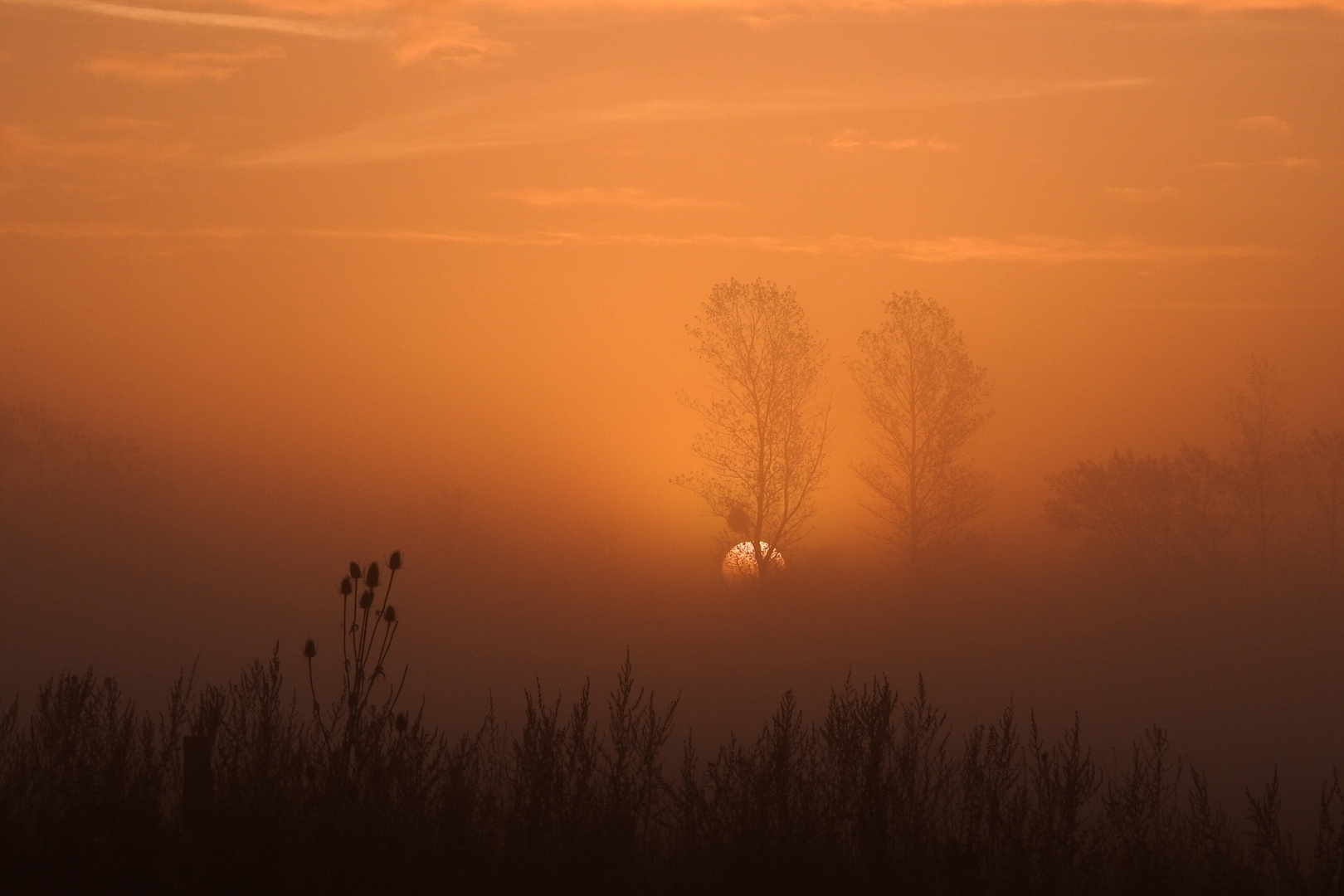 Licht, das durch den Nebel bricht