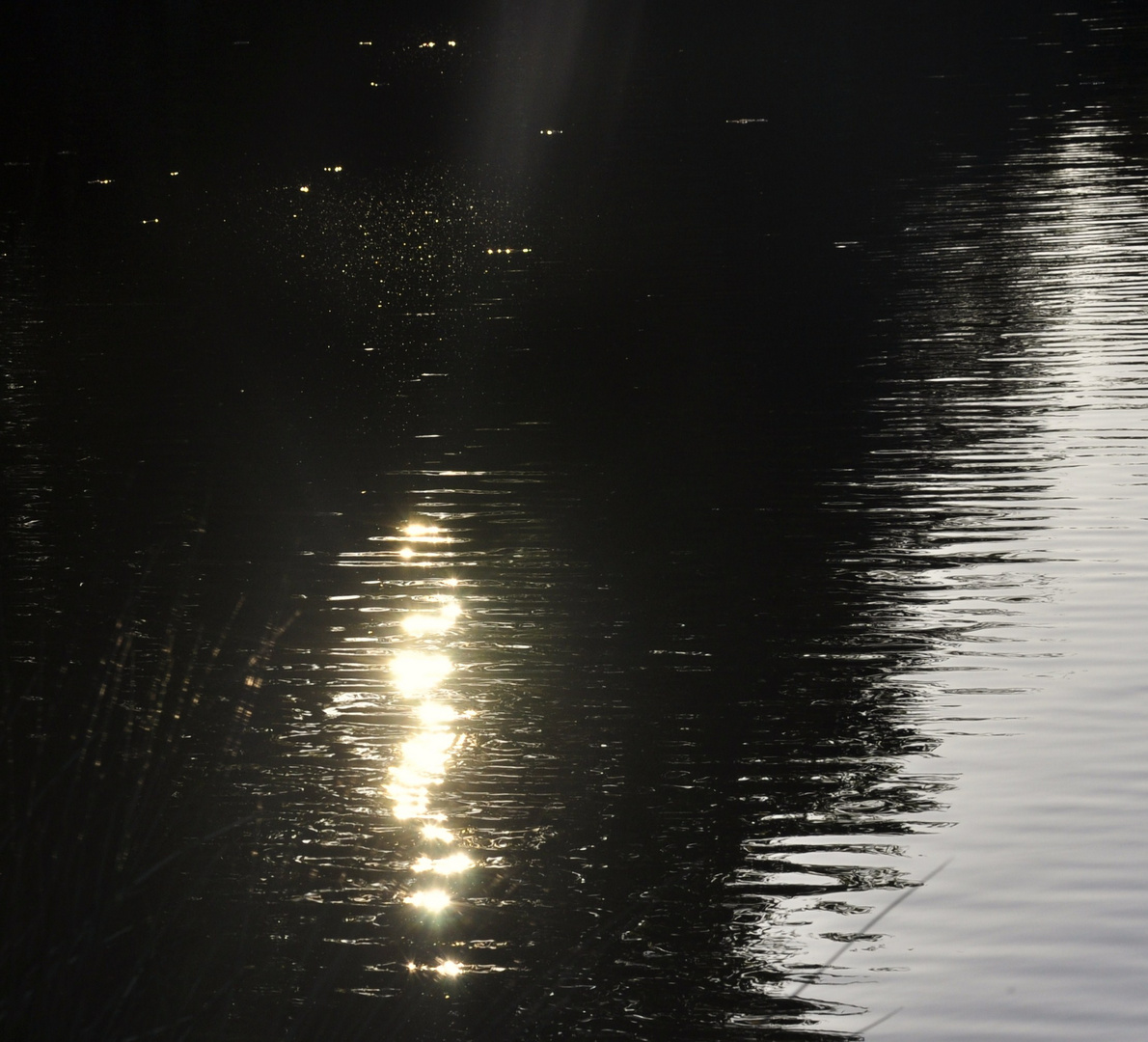 ....Licht das sich auf dem Wasser spiegelt....