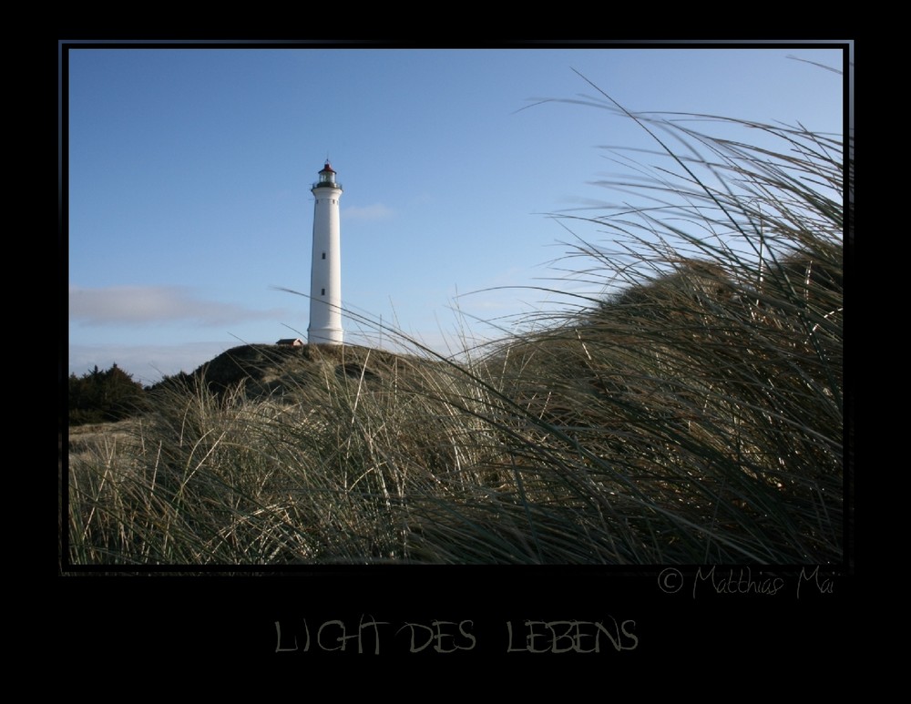 Licht des Lebens