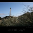 Licht des Lebens