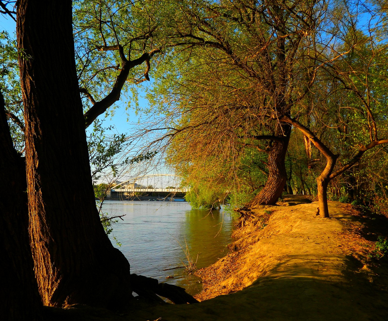 Licht des Nachmittags am Ufer des Flusses