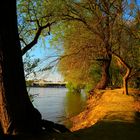 Licht des Nachmittags am Ufer des Flusses