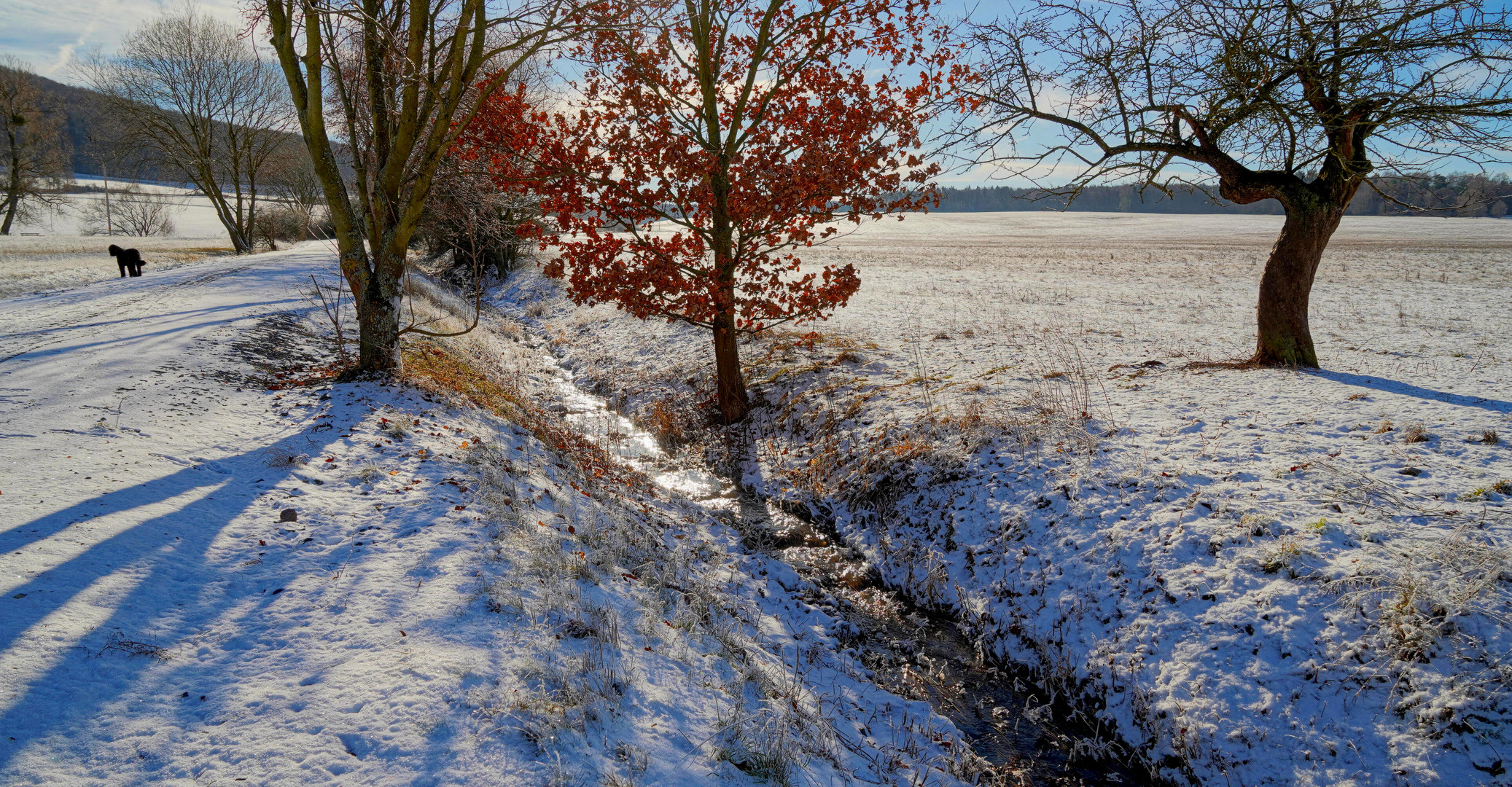 Licht des Winters, 2 (luz del invierno, 2)