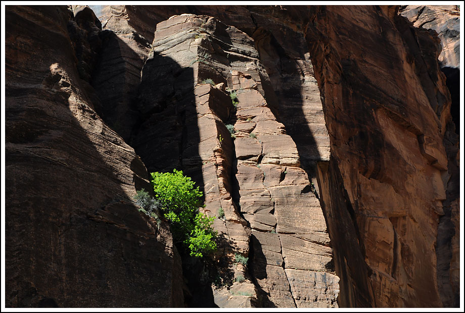 Licht des Zion II