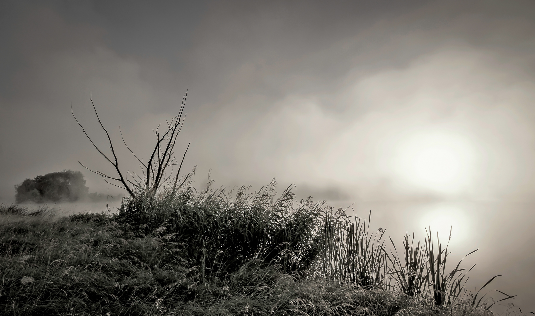 Licht durchbricht den Nebel