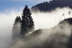 Licht durchdringt den Nebel