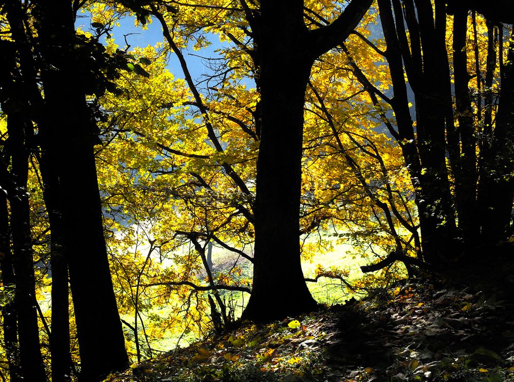 Licht durchflutet