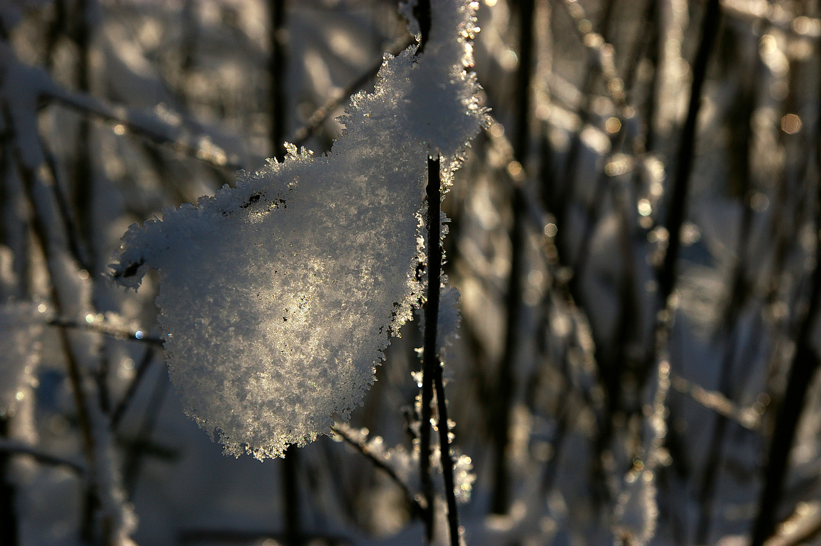 Licht durchflutet