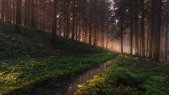 Licht durchflutet