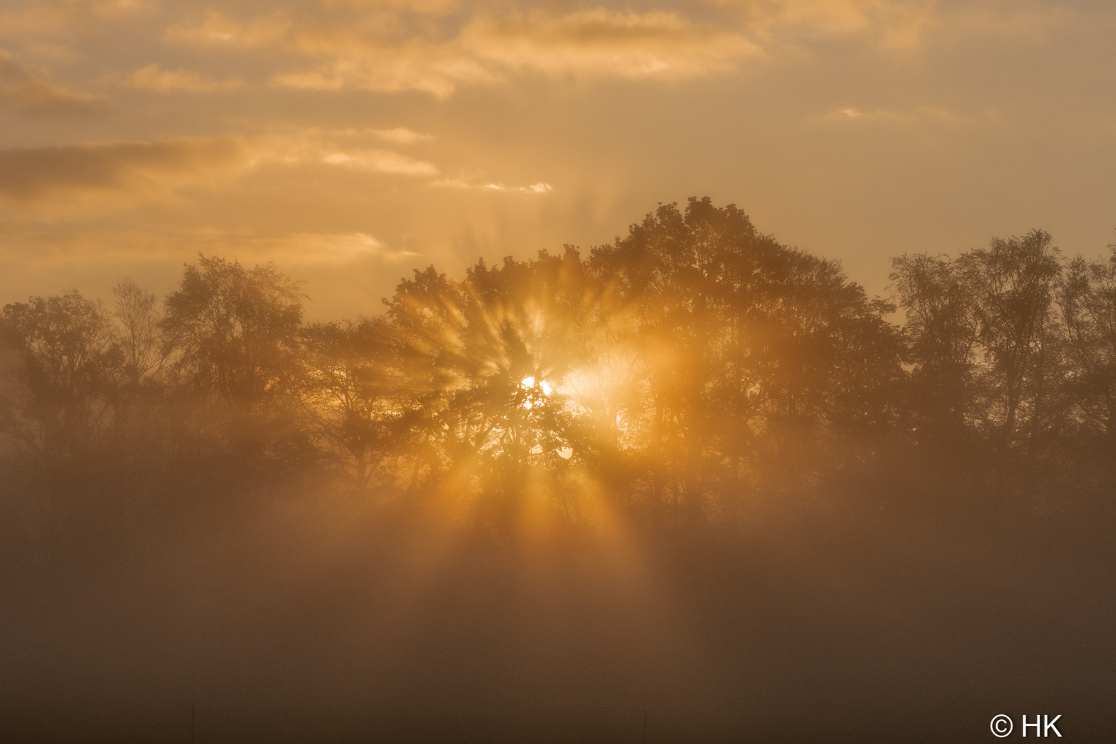 Licht durchtränkt