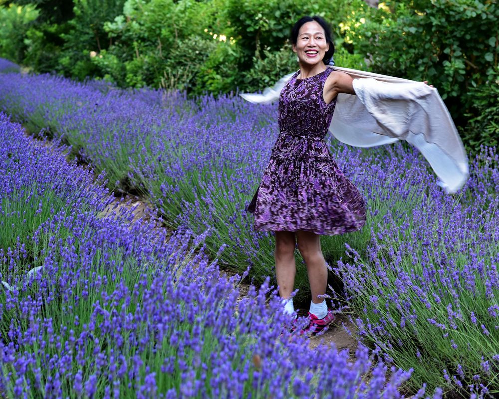 Licht - Farben - Düfte: Provence pur für Fotografen