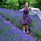 Licht - Farben - Düfte: Provence pur für Fotografen