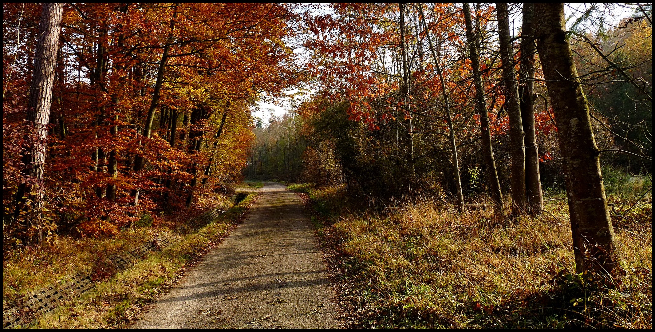 Licht & Farben