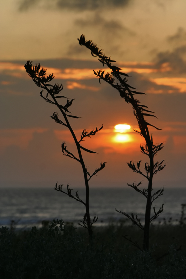 licht [farben] meer ...