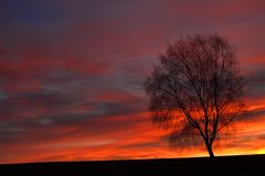 Licht & Farbstimmung