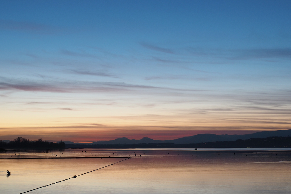 Licht-Festival | Natur