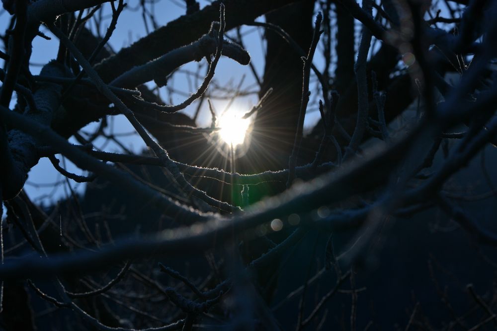 licht findet immer einen weg