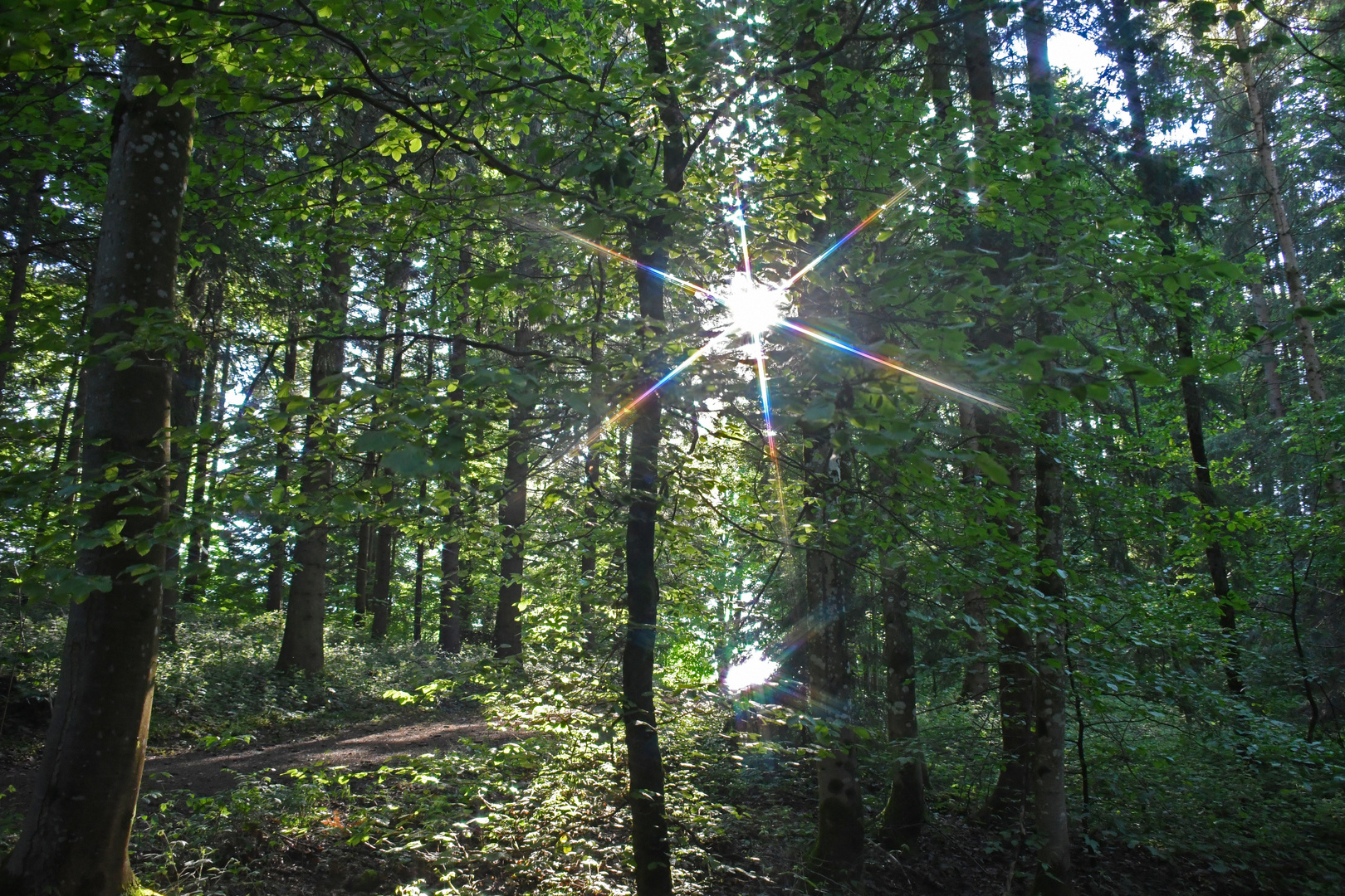 Licht findet immer seinen "Weg"