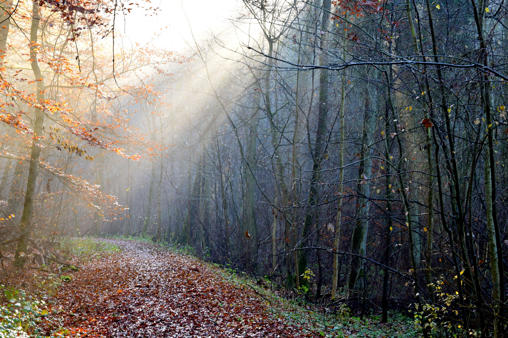 Licht im Advent