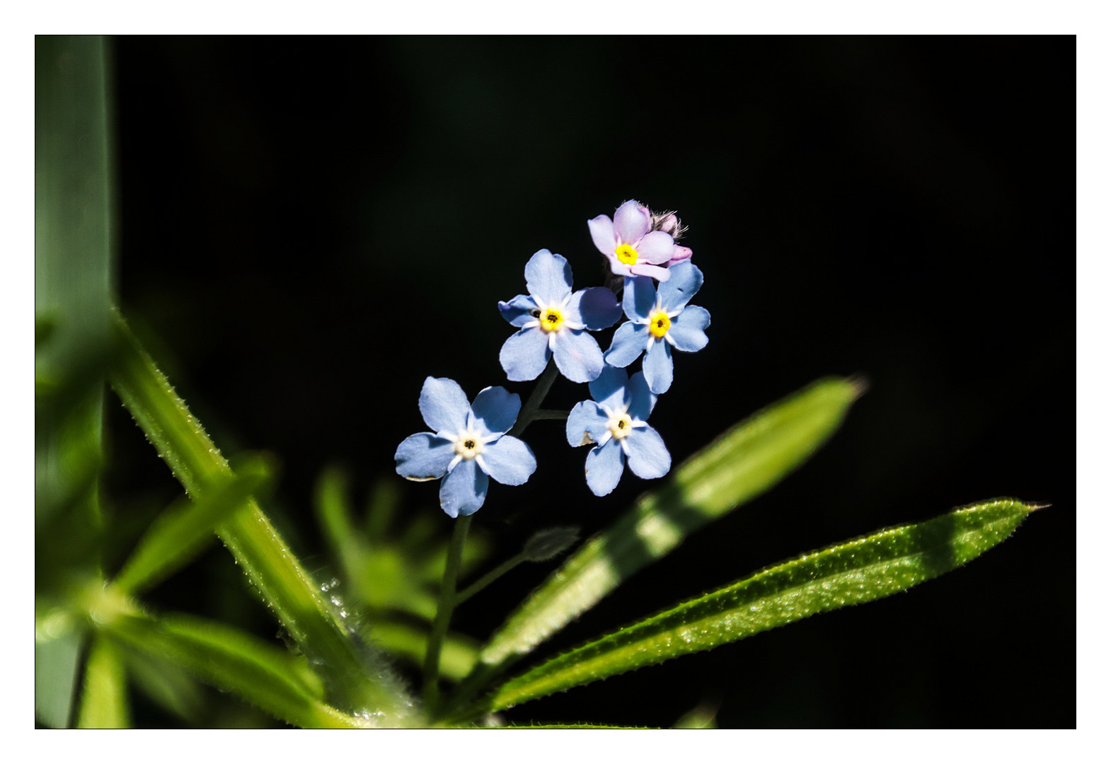 Licht im Dunkel