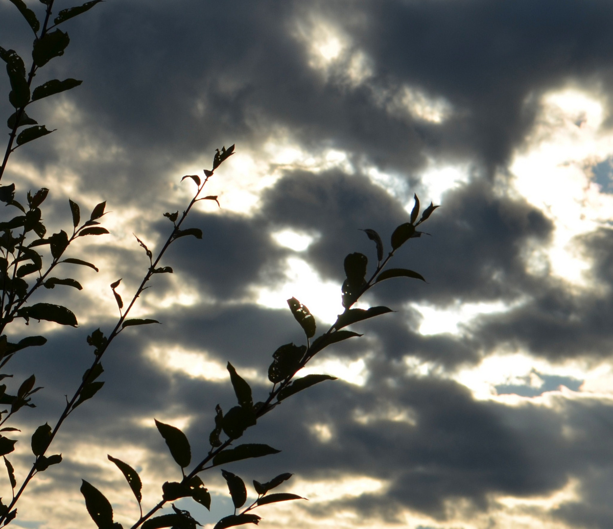 Licht im Dunkel