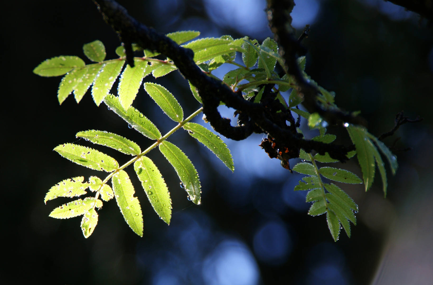 Licht im Dunkel