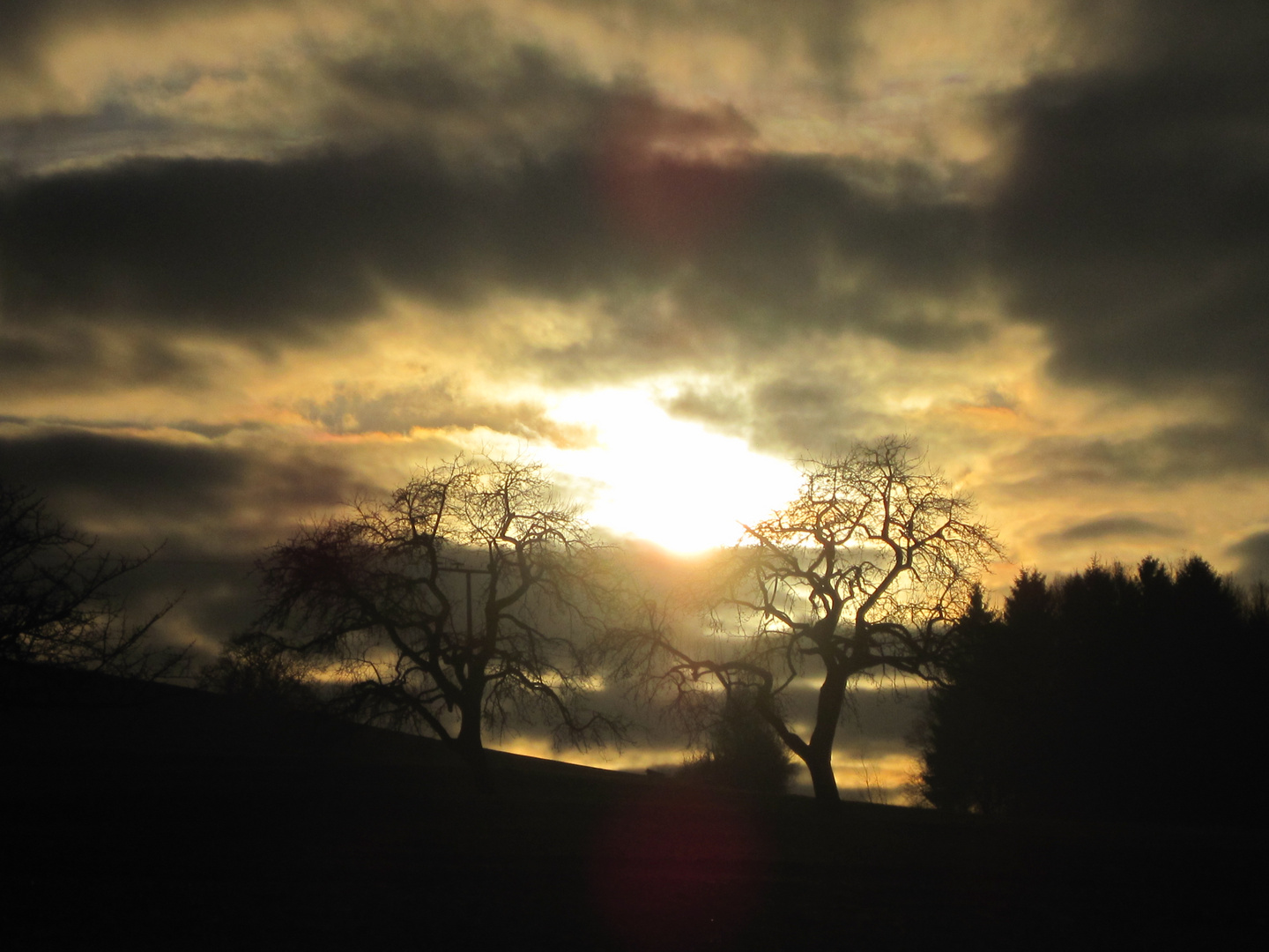 Licht im Dunkel