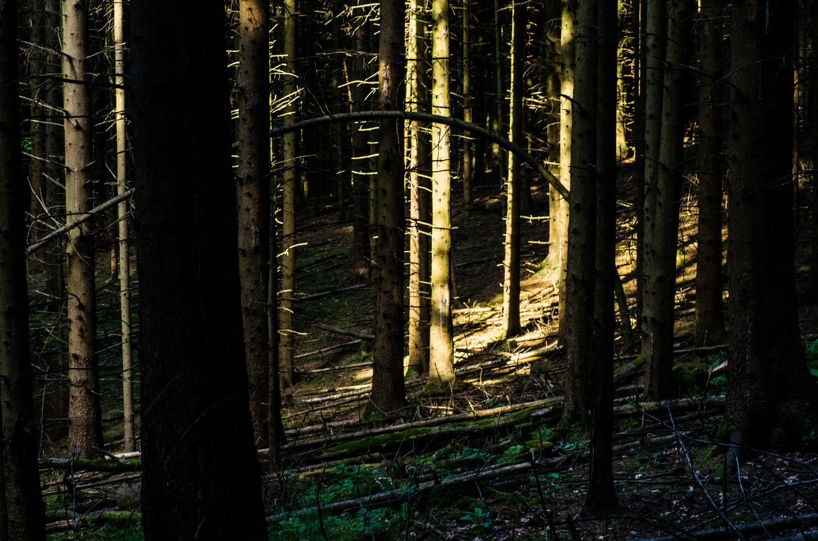 Licht Im Dunkel Licht Im Dunkel