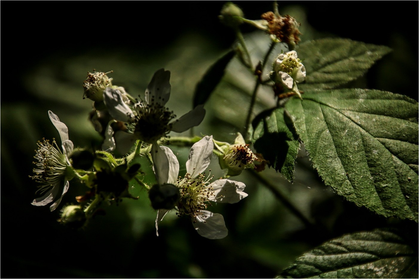 Licht im Dunkel