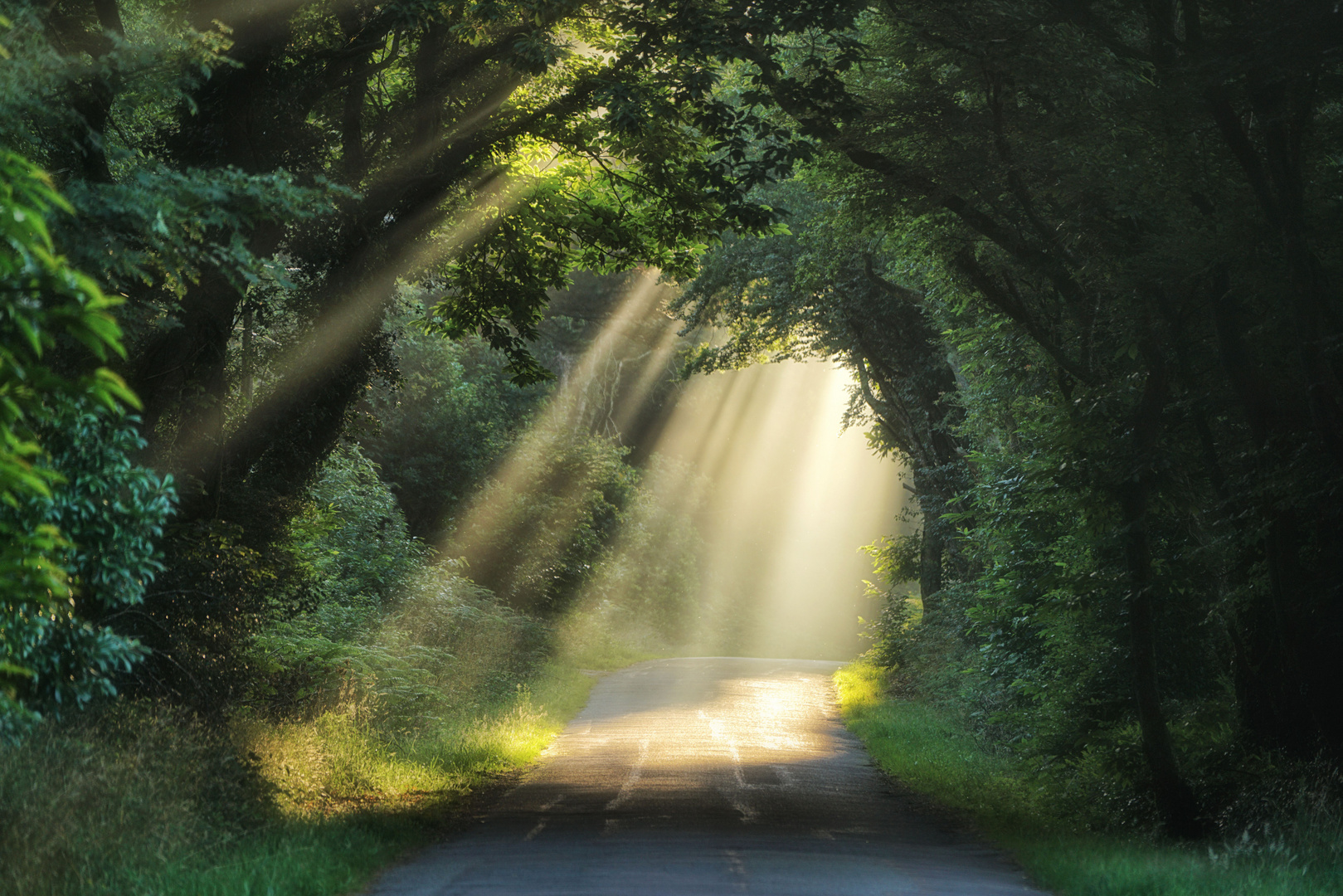 Licht im Dunkel