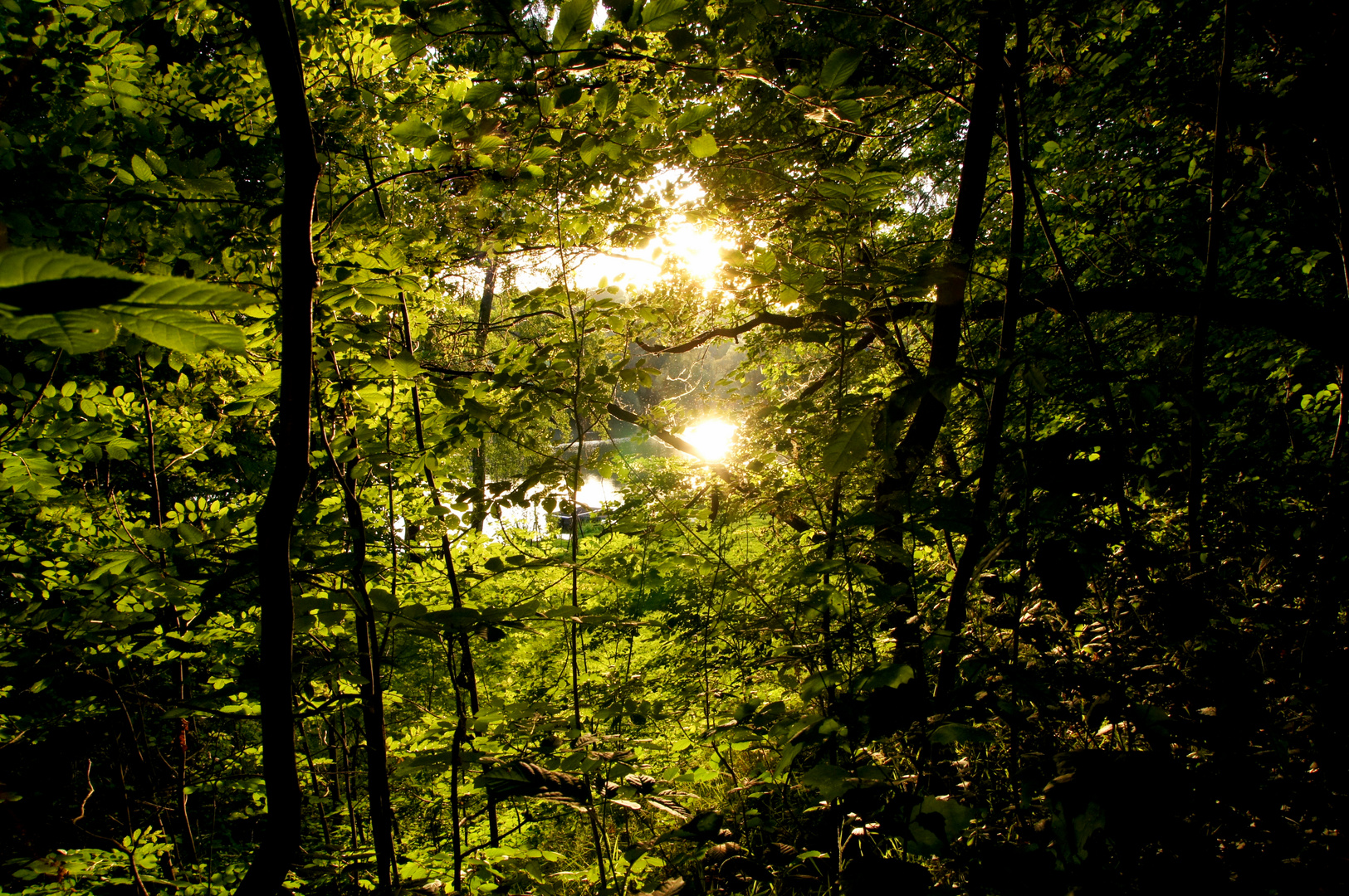 Licht im Dunkel