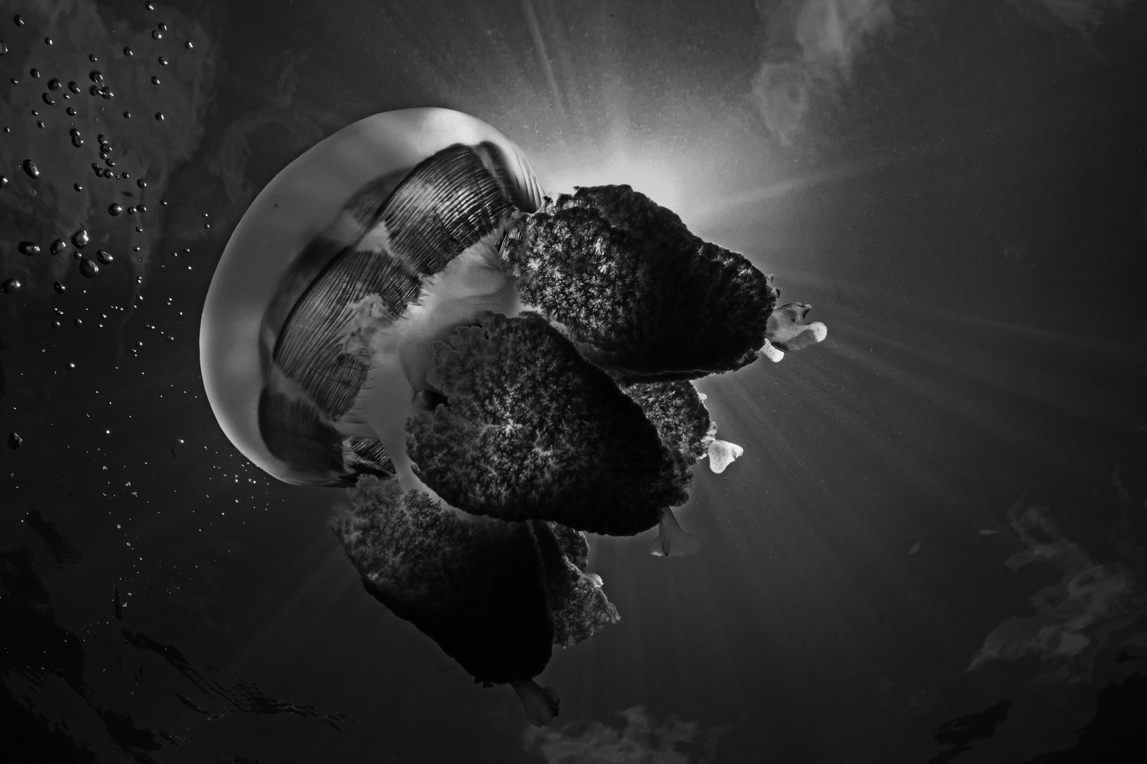 Licht im Dunkel Foto & Bild | meer, sw, natur Bilder auf ...