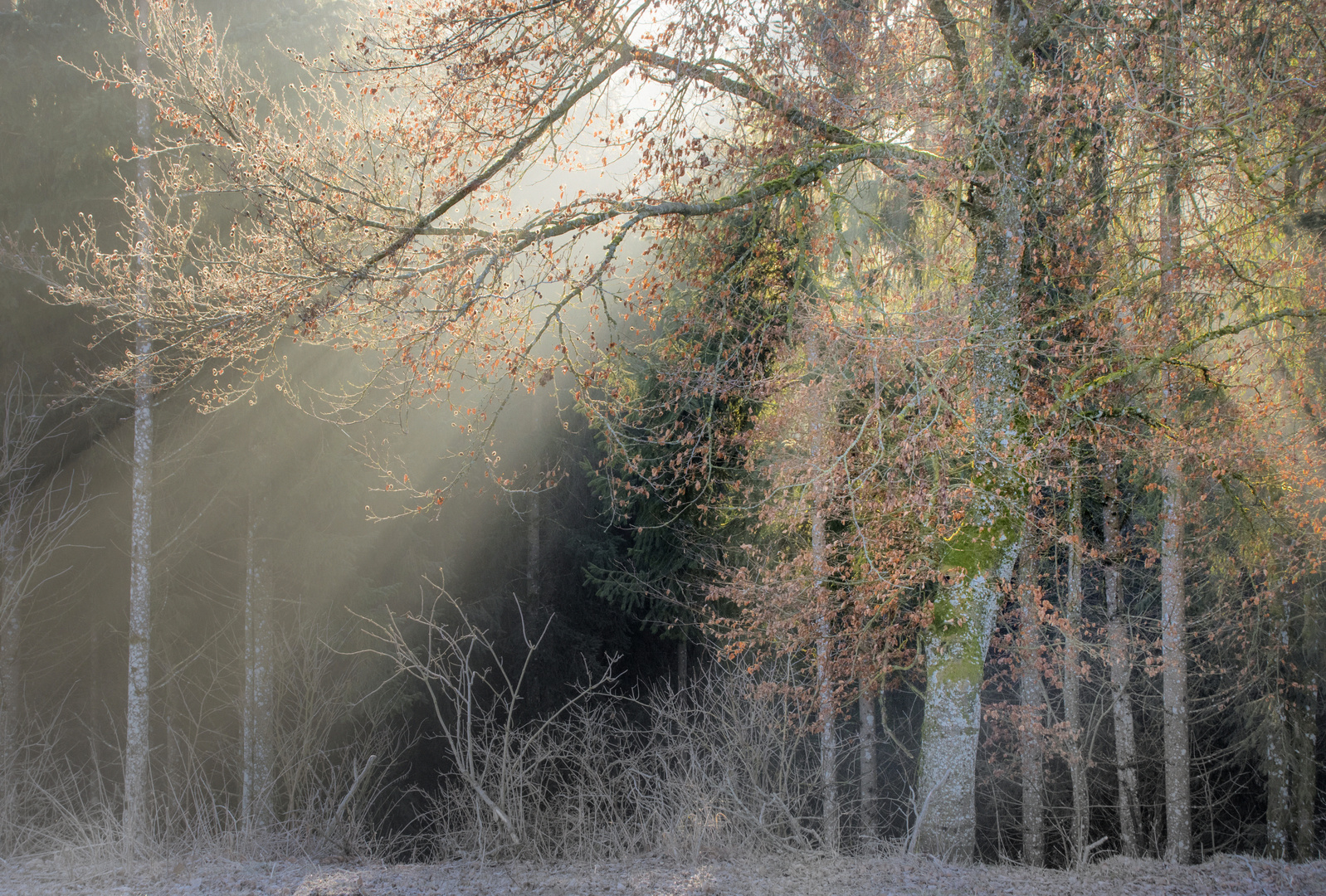 Licht im Dunkel