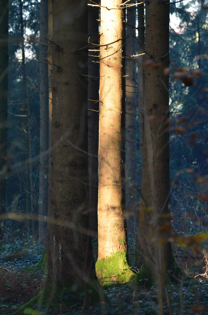 Licht im Dunkeln