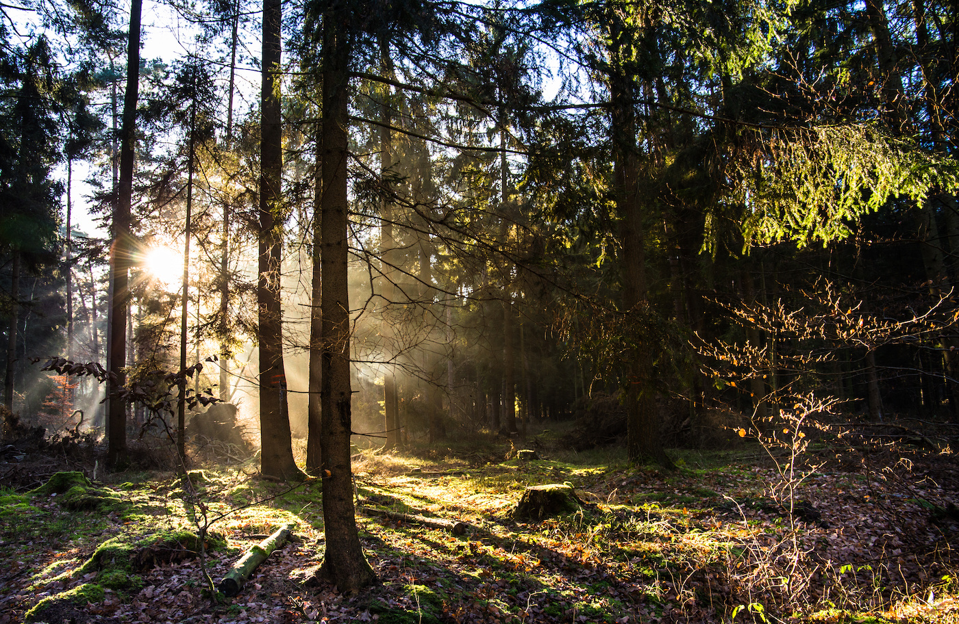 Licht im Dunkeln