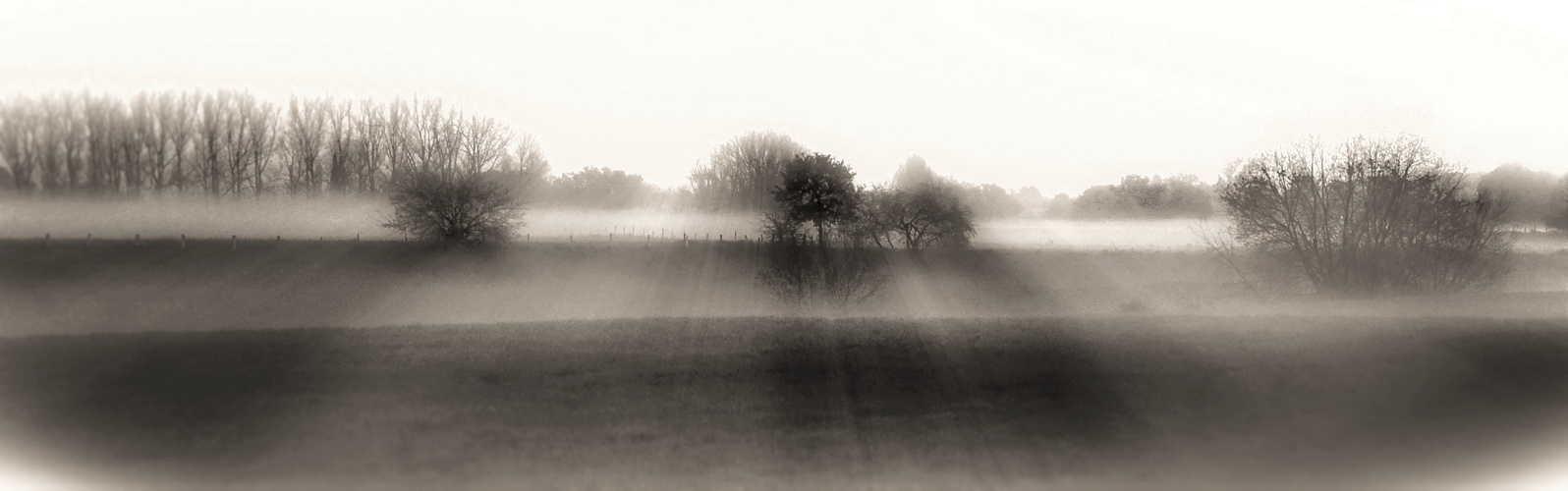 Licht im Dunkeln