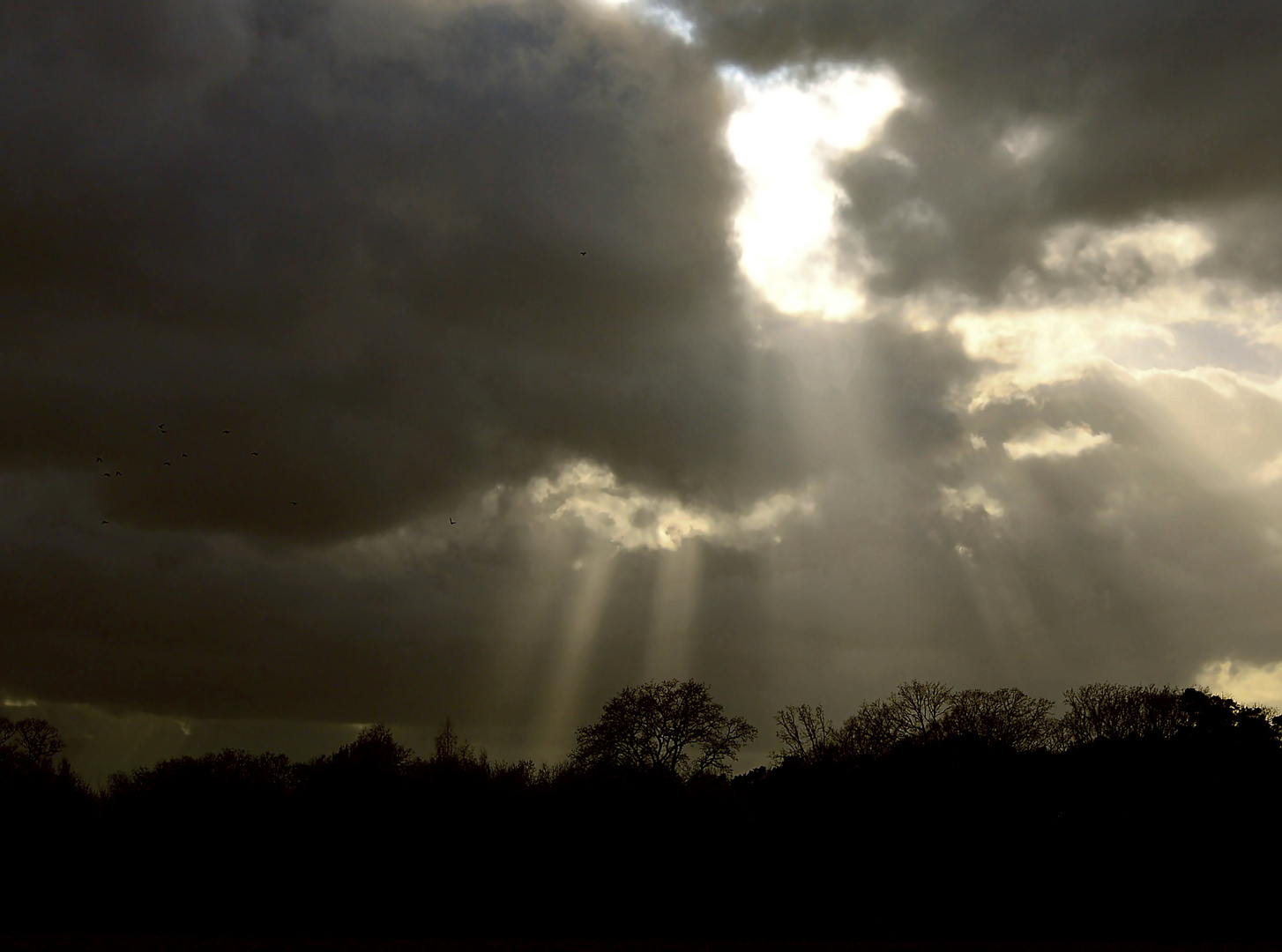 Licht im dunkeln 