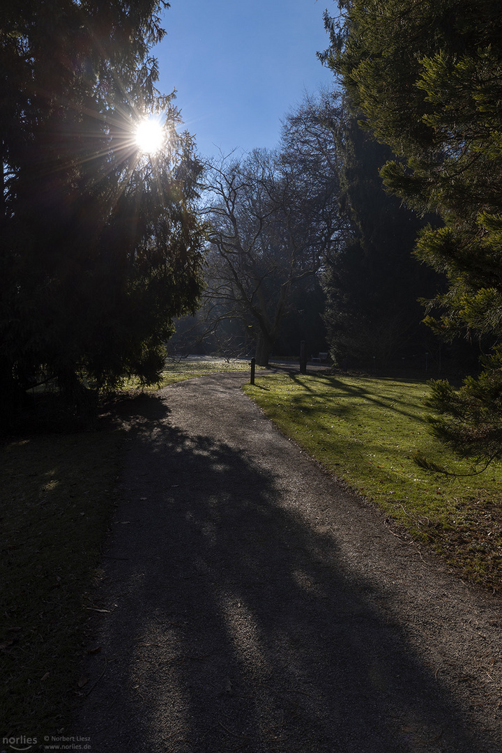 Licht im Dunkeln