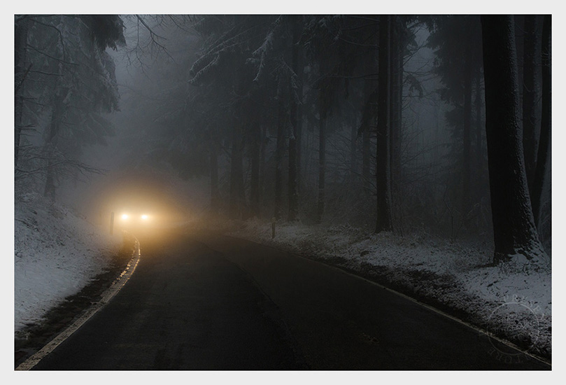 Licht Im Dunklen Nebel