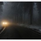 Licht Im Dunklen Nebel