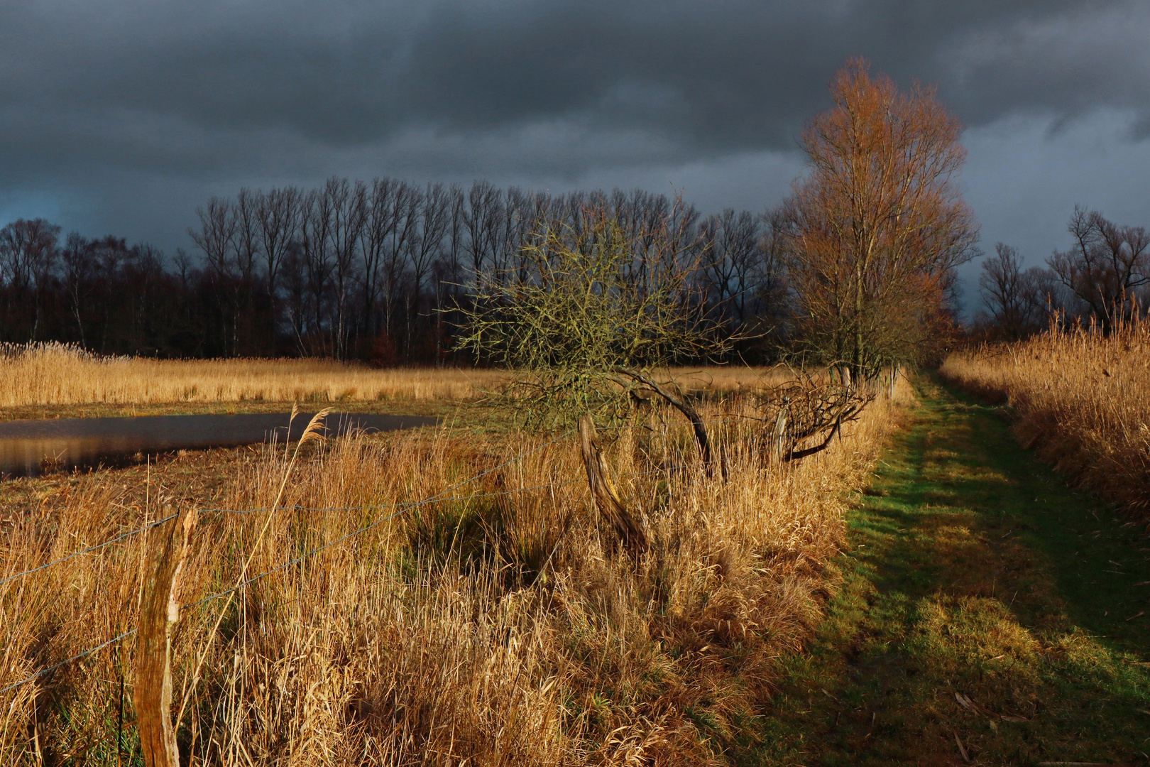 Licht im Februar