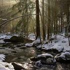 Licht im Höllbachtal