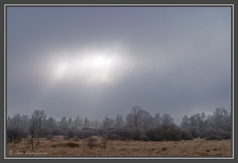 Licht im Hohen Venn (01887)