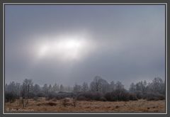 Licht im Hohen Venn (01887)